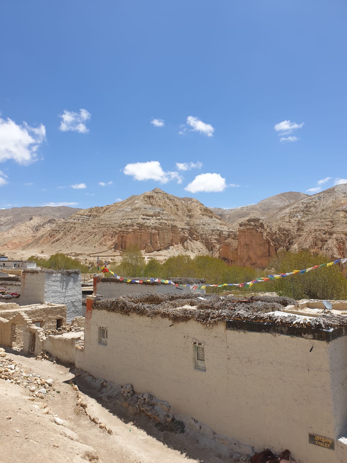 Upper mustang
